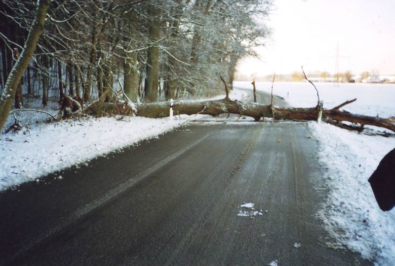 24.11.2008 Sturmschaden
