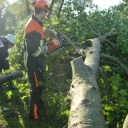 Baum stürz auf Spielplatz