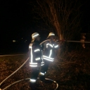 Brand Baum (8)