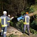 18.01.2018 Baum auf Fahrbahn