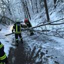 04.02.2019 Bäume auf Fahrbahn