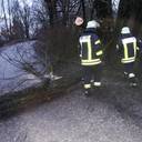 04.02.2020 Baum auf Fahrbahn