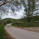 09.05.2023  Baum auf Fahrbahn